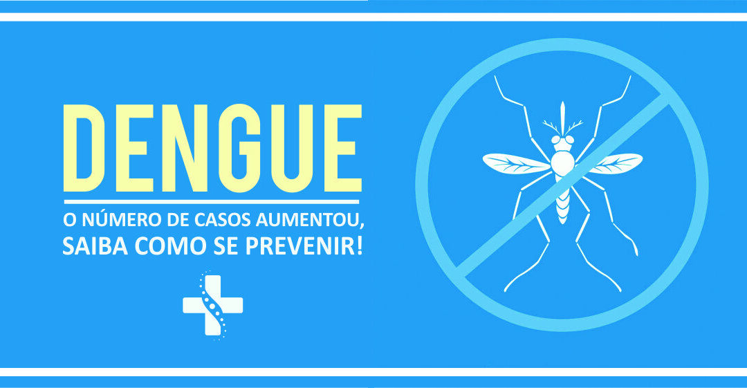 Iniciativas de Prevenção da Dengue