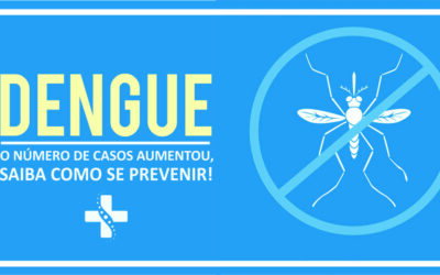 Iniciativas de Prevenção da Dengue